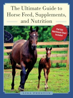 Ultimate Guide to Horse Feed, Supplements, and Nutrition