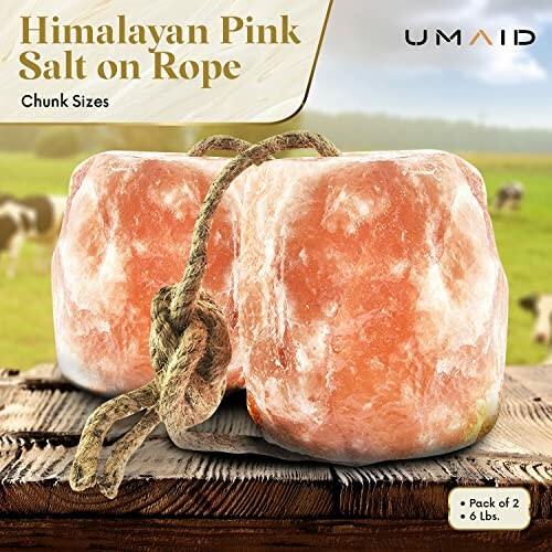 Himalayan pink salt block on a rope with cows in the background