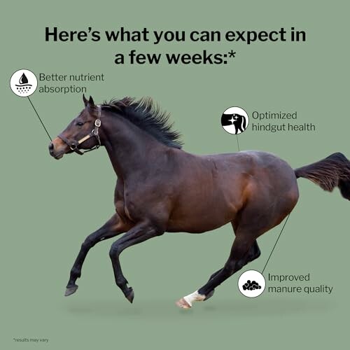 Running horse with text about nutrient absorption, hindgut health, and manure quality improvements.