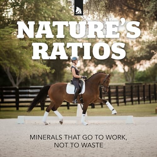 Equestrian riding a horse in an outdoor arena with trees in the background.