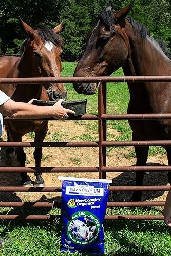 Two horses being fed beside a bag of New Country Organics feed.