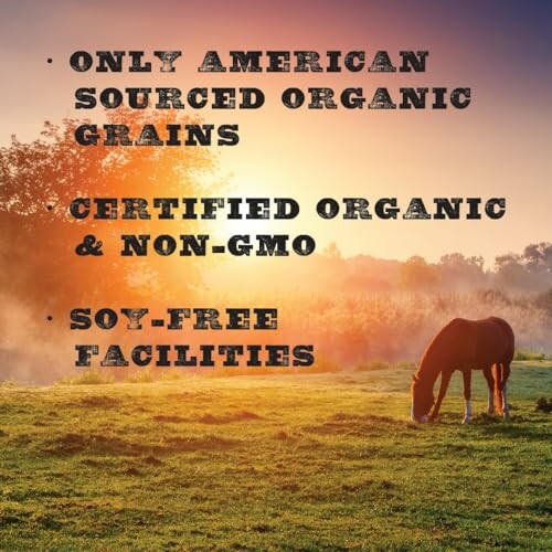 Horse grazing in pasture with organic grains message.